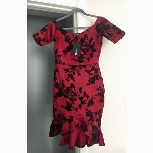 Flocked Together Fashion Nova Dress